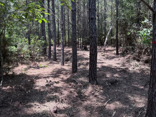 15785 Woodlife Road, Willis, TX 77378
