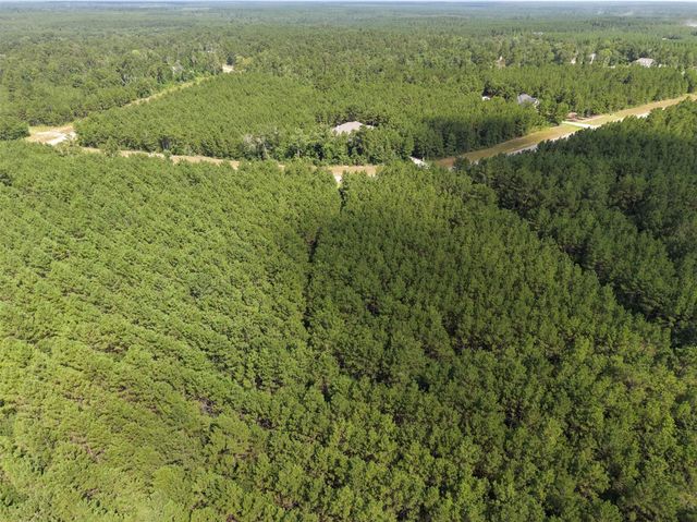 15785 Woodlife Road, Willis, TX 77378