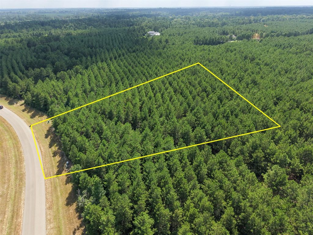 15785 Woodlife Road, Willis, TX 77378