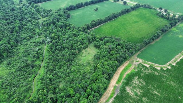 54539 Buckhorn Road, Three Rivers, MI 49093