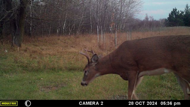 58988 County Highway 50, Deer Creek, MN 56527