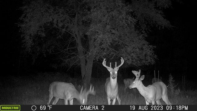 58988 County Highway 50, Deer Creek, MN 56527