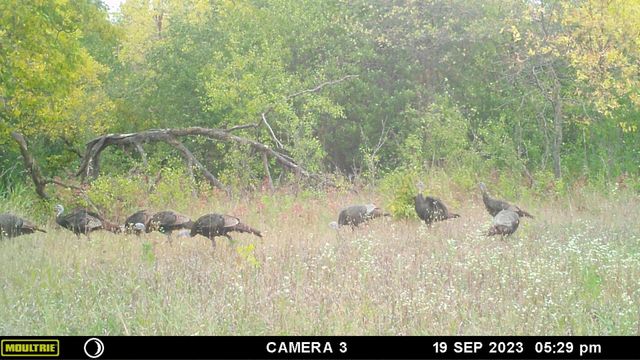 58988 County Highway 50, Deer Creek, MN 56527