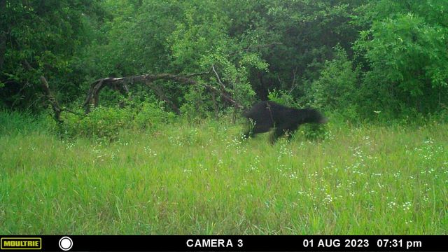 58988 County Highway 50, Deer Creek, MN 56527