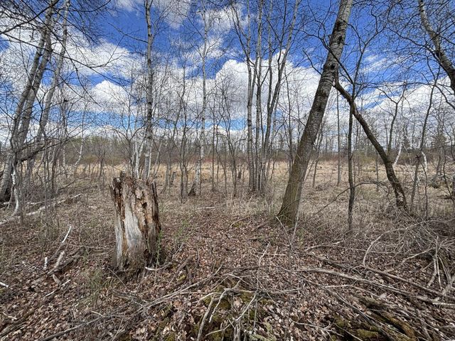 58988 County Highway 50, Deer Creek, MN 56527