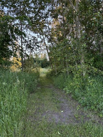 58988 County Highway 50, Deer Creek, MN 56527