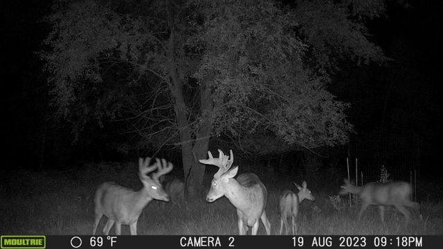 58988 County Highway 50, Deer Creek, MN 56527