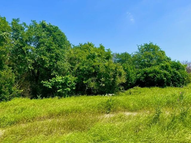 Lot 47 Antrim Court, Poolville, TX 76487
