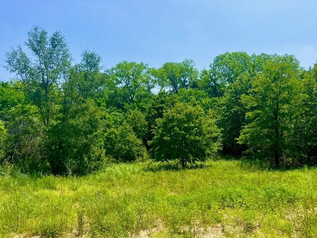 Lot 47 Antrim Court, Poolville, TX 76487