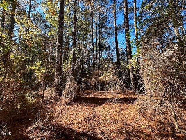 85 Meadow Spring Lane, Sanford, NC 27332