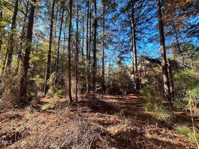 85 Meadow Spring Lane, Sanford, NC 27332