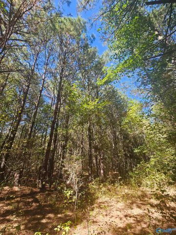 020 County Road 70, Sand Rock, AL 35984