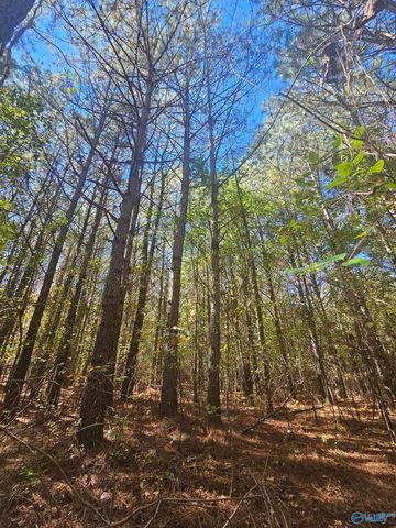 020 County Road 70, Sand Rock, AL 35984