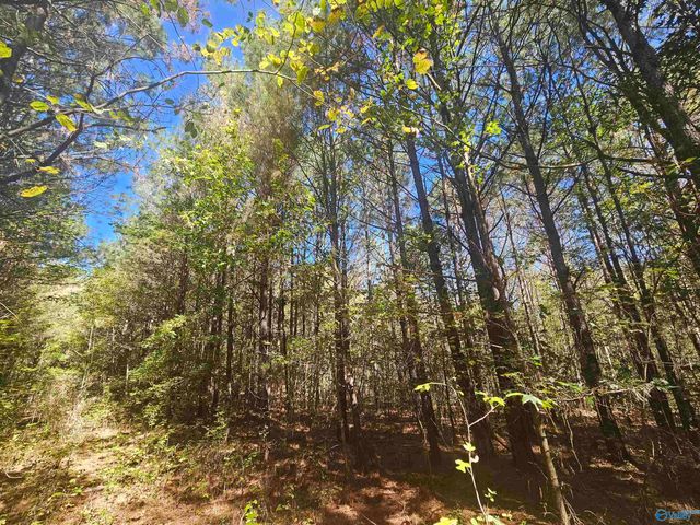 020 County Road 70, Sand Rock, AL 35984