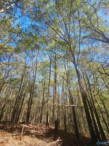 020 County Road 70, Sand Rock, AL 35984