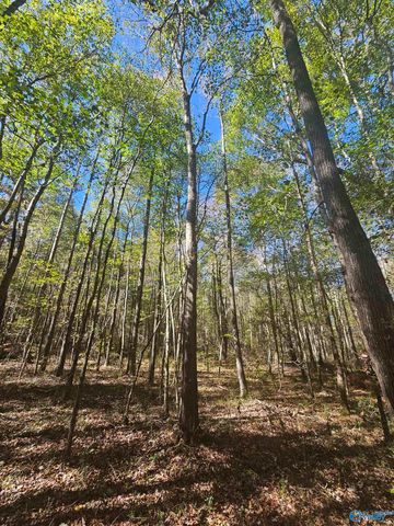 020 County Road 70, Sand Rock, AL 35984