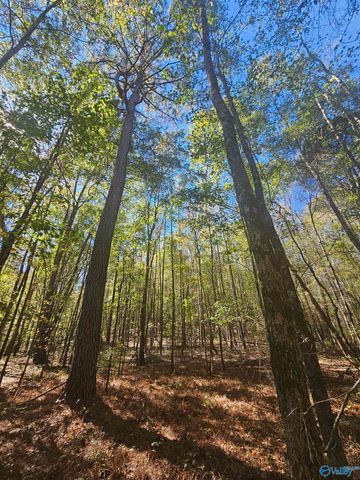 020 County Road 70, Sand Rock, AL 35984