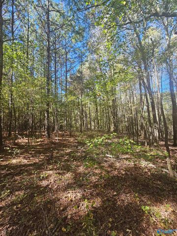 020 County Road 70, Sand Rock, AL 35984