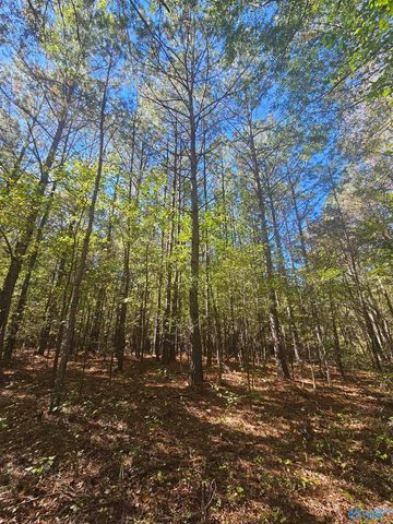 020 County Road 70, Sand Rock, AL 35984