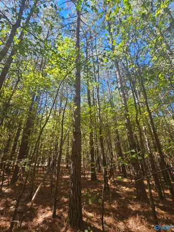 020 County Road 70, Sand Rock, AL 35984