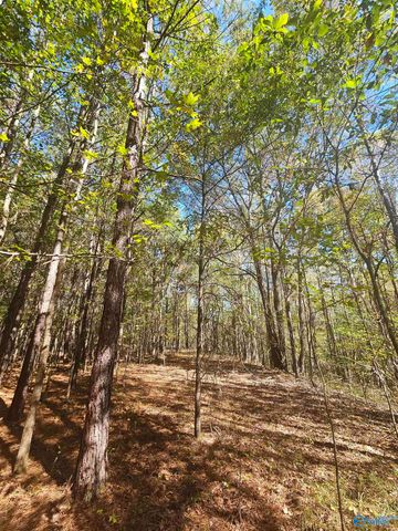 020 County Road 70, Sand Rock, AL 35984