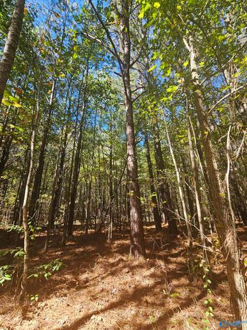 020 County Road 70, Sand Rock, AL 35984