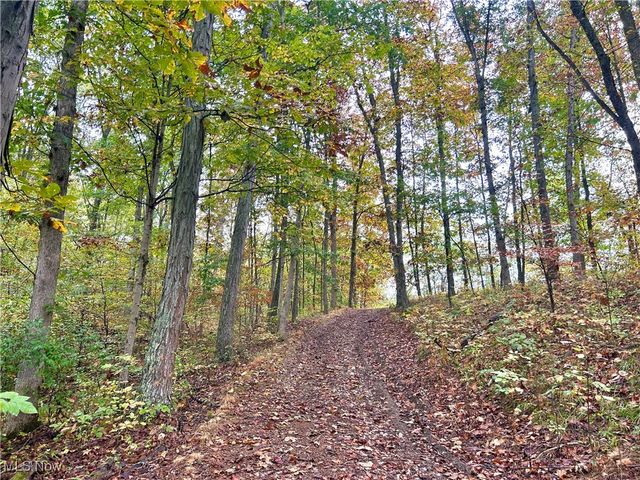 14040 T Ridge Road, Caldwell, OH 43724