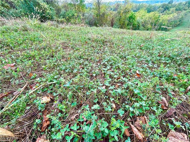 14040 T Ridge Road, Caldwell, OH 43724