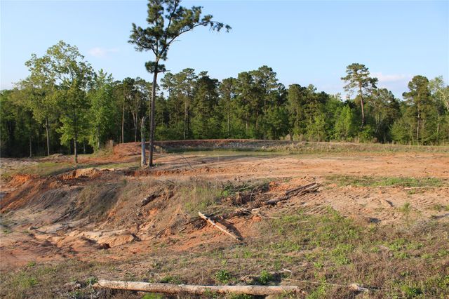 TBD Harrell Road, Coldspring, TX 77331