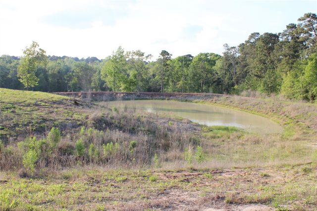 TBD Harrell Road, Coldspring, TX 77331