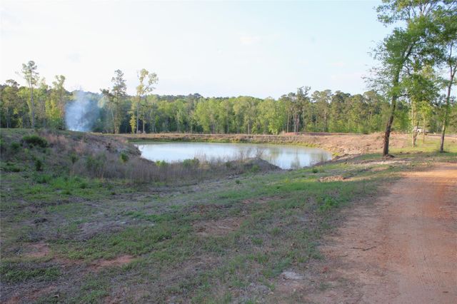 TBD Harrell Road, Coldspring, TX 77331