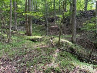0 Cane Mountain Lane, Burnsville, NC 28714