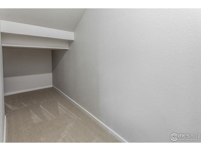 6117 Saddle Horn Dr, Timnath, CO 80547