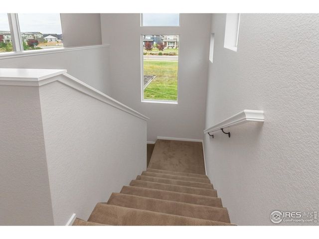 6117 Saddle Horn Dr, Timnath, CO 80547