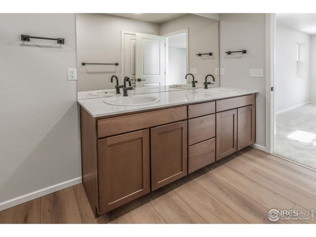 6117 Saddle Horn Dr, Timnath, CO 80547