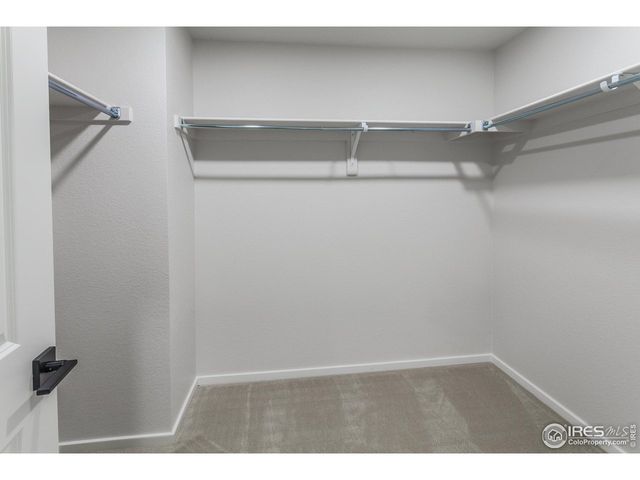 6117 Saddle Horn Dr, Timnath, CO 80547