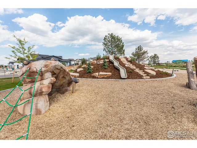 6117 Saddle Horn Dr, Timnath, CO 80547