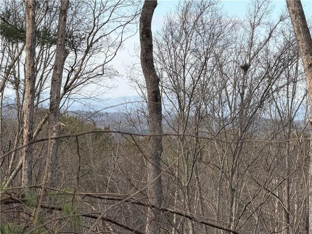 285 Parnell Drive, Ellijay, GA 30540
