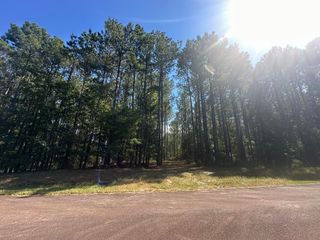 Lot 32 Petersburg, Lincolnton, GA 30817