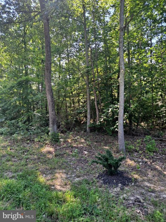 POSEYTOWN, Nanjemoy, MD 20662