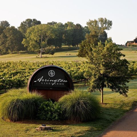 4728 Woodrow Pl, Arrington, TN 37014