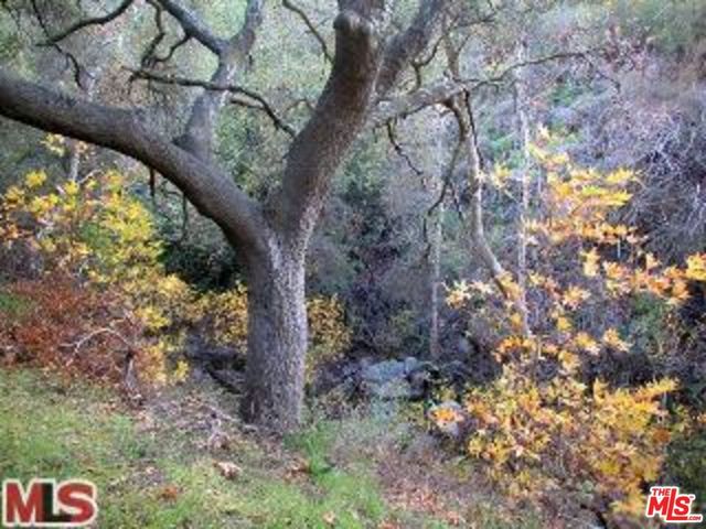 996 Old Topanga, Topanga, CA 90290