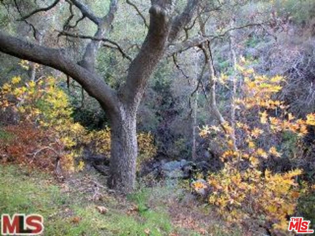 996 Old Topanga, Topanga, CA 90290 — photo 4