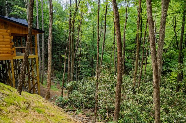 122 Laurel Creek Trail, Blue Ridge, GA 30513