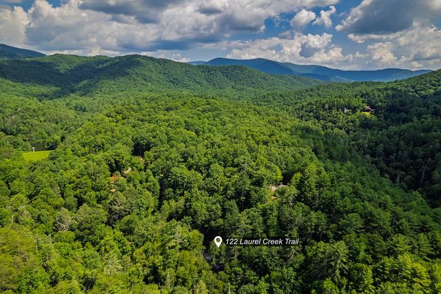 122 Laurel Creek Trail, Blue Ridge, GA 30513