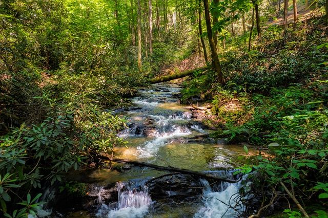 122 Laurel Creek Trail, Blue Ridge, GA 30513