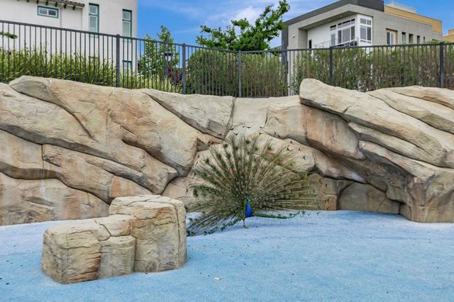 223 William Manly Street 1, San Jose, CA 95136
