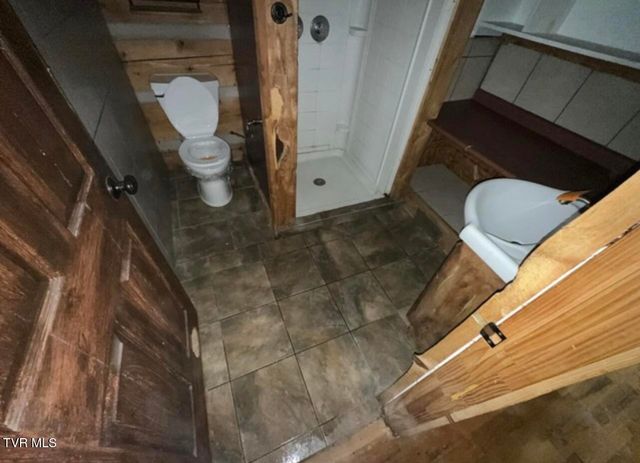 335 Bear Cage Road, Roan Mountain, TN 37687