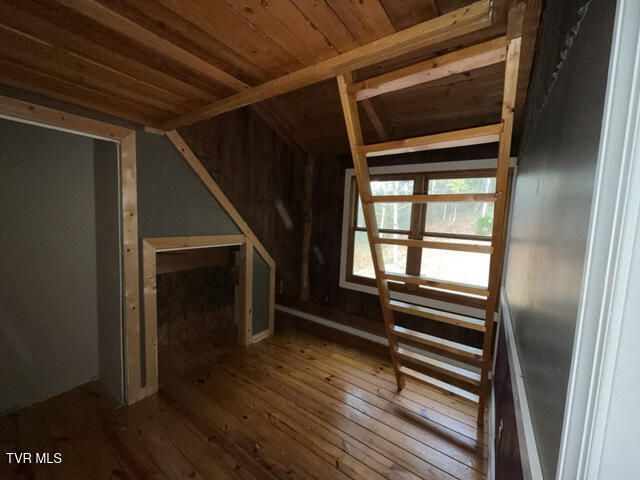 335 Bear Cage Road, Roan Mountain, TN 37687