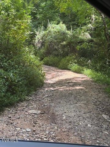 335 Bear Cage Road, Roan Mountain, TN 37687